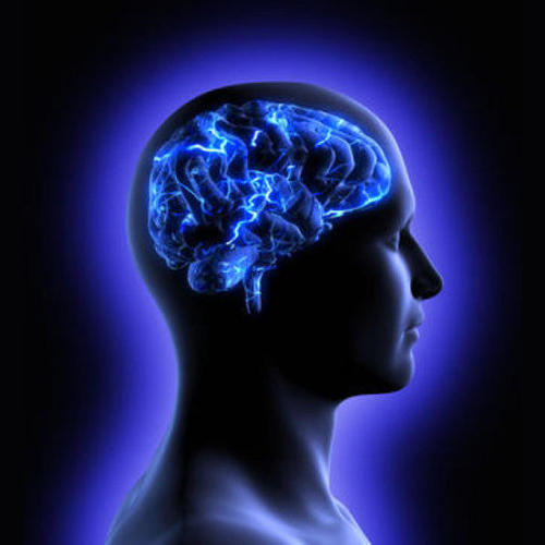 Brain Finger Printing.