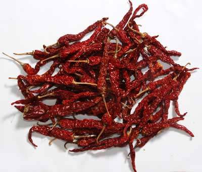 Red Chilli - BYADGI