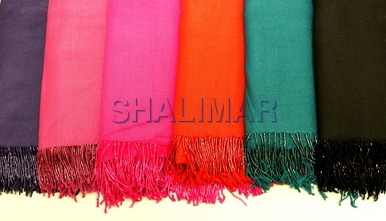 Plain Pashmina Scarves Plain Pashmina Scarves
