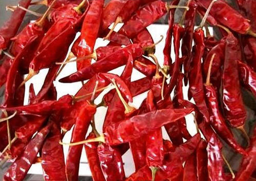 RED CHILLI - ENDO 