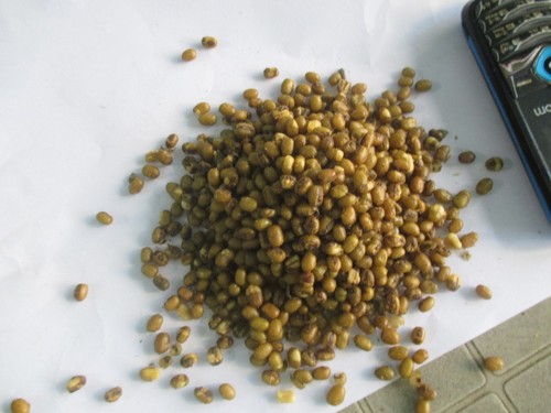 Moong Dal