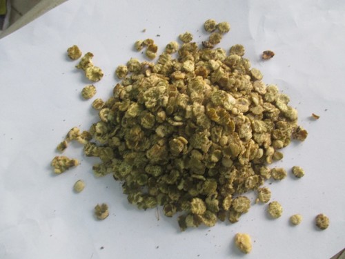 Moong Jor Garam