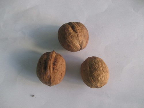 Walnuts