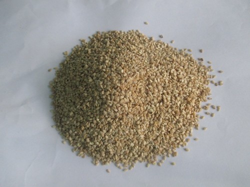 Ajwain