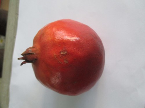 Pomegranate