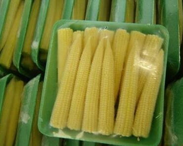 Sweet Baby Corn