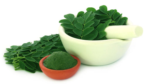 Moringa Leaves Powder