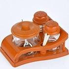 Orange & Transparent Salt Pepper Sets Feast