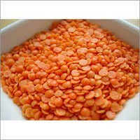 Masoor Dal