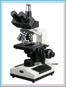 Microscope