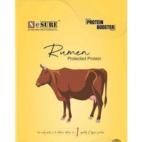 Cattle Feed Protein Supplement - Physical Form: Powder