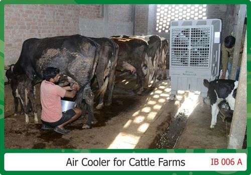 Air Coolers For Cattle Farms