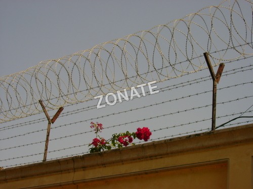 GI Razor Blade Wire