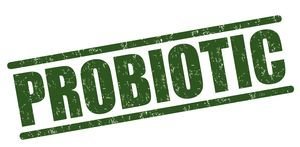 Probiotic Supplements - Liquid Formulation, Enhances Egg Production & Quality, Promotes Beneficial Gut Microorganisms