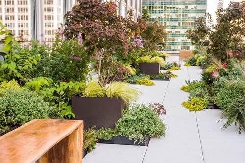 Rooftop Garden