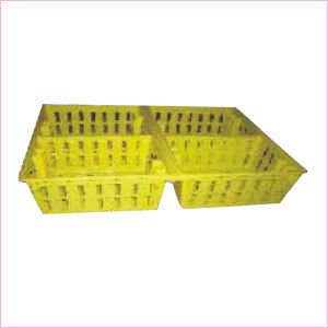 Chick Transport Box