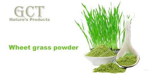Wheat grass powder