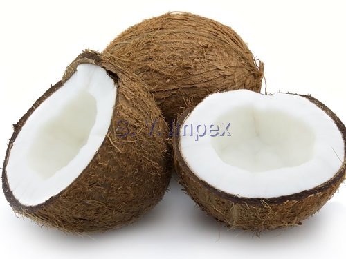 Fresh Coconut - Common Cultivation, Premium Quality, Naturally Sweet Flavor, Ideal for Smoothies and Culinary Use