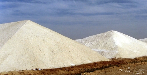 Ecology Of A Salt Works