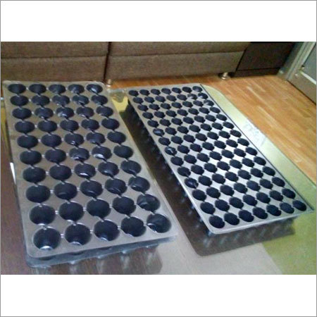 Seedling Trays