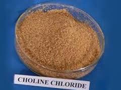 Choline Chloride 50% & 60%