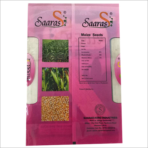 Maize Seeds