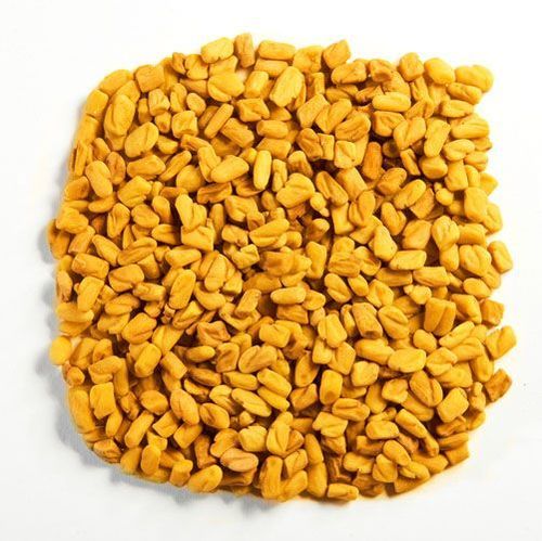Fenugreek Seed Fenugreek Seed