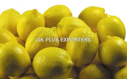 Fresh Lemon Fresh Lemon