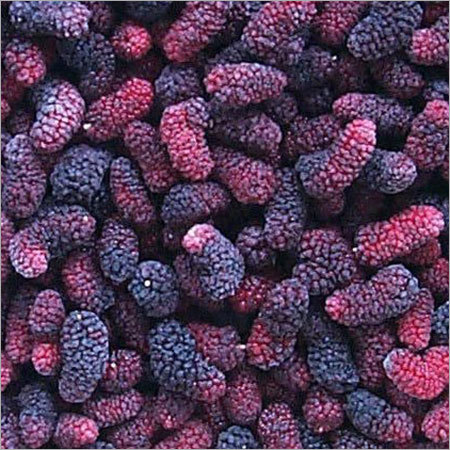 Frozen Indian Mulberries