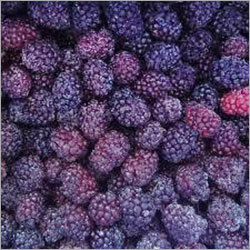 Frozen Blackberry