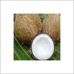 Organic Coconut