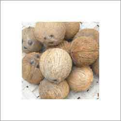 Dehusked Coconut