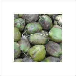 Tender Coconut - Young, Green, Bulk Packaging | Natural Energy Source, Refreshing Drink, Good for Health, Rich in Nutrients