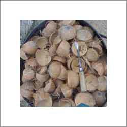 Coconut Shell Copra