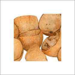 Semi Husked Coconut Shell