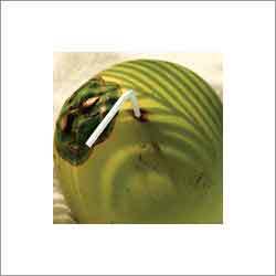 Tender Coconut