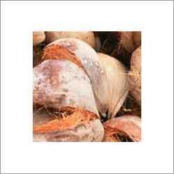 Fresh Coconut Husk