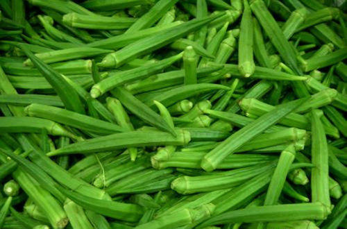 Lady Finger