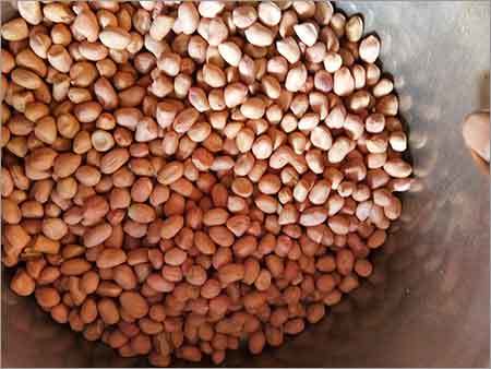 Common Fresh Groundnuts