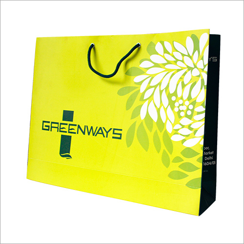 Promotional Paper Carry Bag