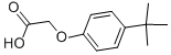 4-Tert-Butylphenoxyacetic Acid Cas No: 1798-04-5