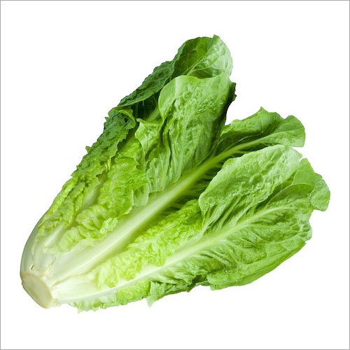 Baby Gem Lettuce (1Kg)