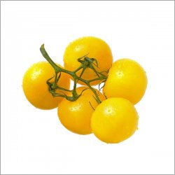 Cherry Tomato