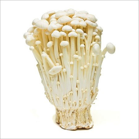 Enoki Mushroom (1Kg)
