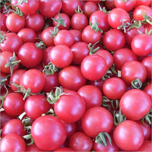 Cherry Tomatoes Pink - Diameter 1-2 cm, PH 4.0-4.5, Round Shape | Sweet Taste, Vibrant Color, High Yield