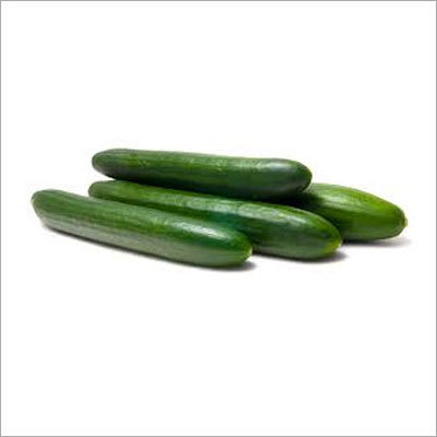 English Cucumber