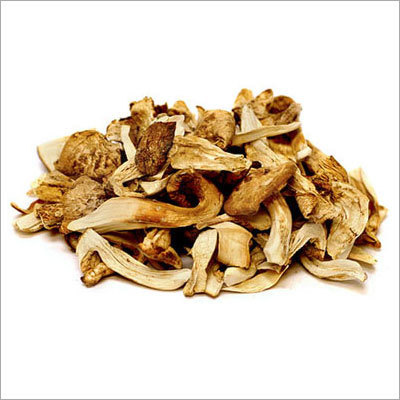 Dried Oyster Mushroom