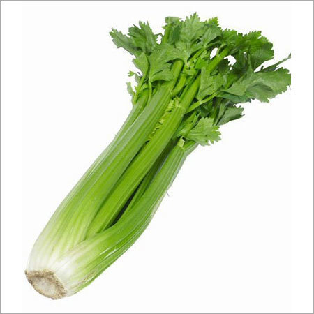 Celery Leaves 