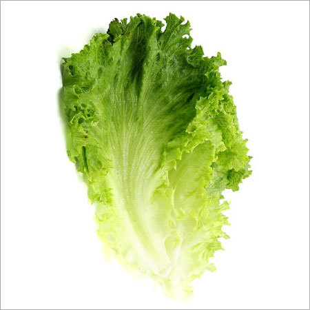 Lettuce Green (1Kg) - Bulk Packaged Green Leafy Greens, Fresh Crisp Nutritious Versatile