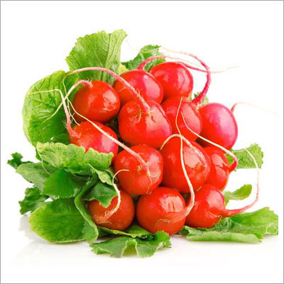 Table Radish